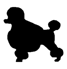 Example output